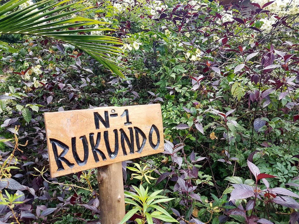 Kivu Paradis Resort Nyamyumba Bilik gambar
